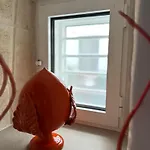 Carlo's Гостьовий будинок