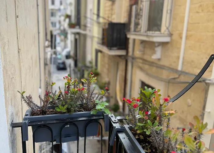 Carlo's Πανσιόν